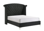 Lucinda Black Queen Upholstered Wingback Panel Bed