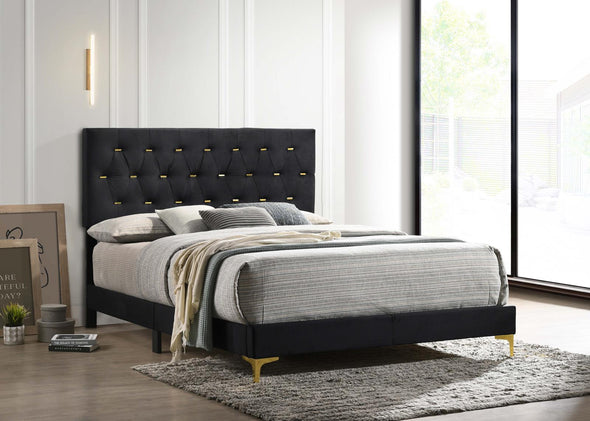 Kendall Black/Gold Upholstered Panel Bedroom Set