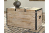 Dartland Whitewash Storage Trunk -  - Luna Furniture