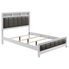 Barzini Queen Upholstered Panel Bed White - 205891Q - Luna Furniture