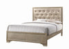 Beaumont Upholstered Queen Bed Champagne - 205291Q - Luna Furniture