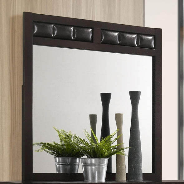 Carlton Upholstered Rectangular Mirror Cappuccino - 202094 - Luna Furniture