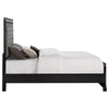 Eleanor Upholstered Tufted Bed Silver and Black - 223361KE - Luna Furniture