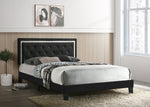 Passion Black Queen Platform Bed - Luna Furniture